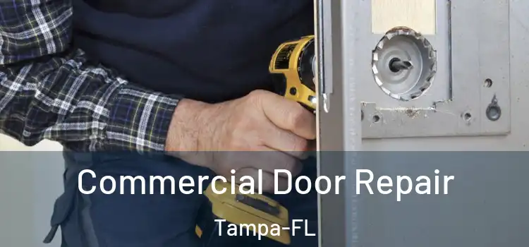  Commercial Door Repair Tampa-FL