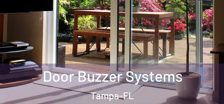  Door Buzzer Systems Tampa-FL