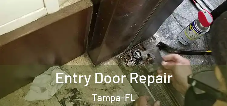  Entry Door Repair Tampa-FL
