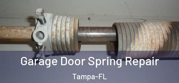 Garage Door Spring Repair Tampa-FL