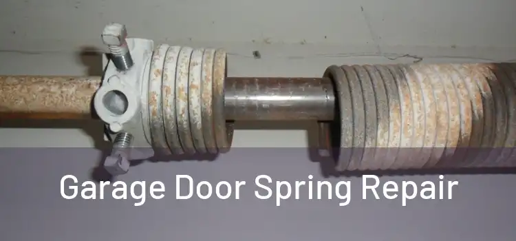  Garage Door Spring Repair 