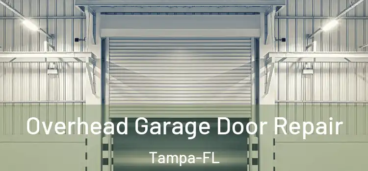  Overhead Garage Door Repair Tampa-FL